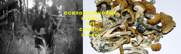 круглые Алексин